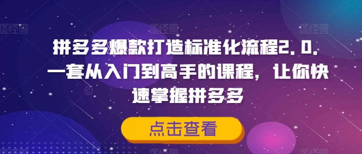 拼多多爆款打造标准化流程2.0，一套从入门到高手的课程，让你快速掌握拼多多_就是爱分享