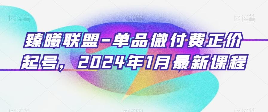 臻曦联盟-单品微付费正价起号，2024年1月最新课程_就是爱分享