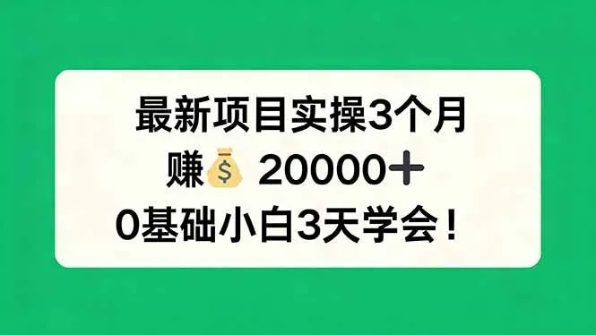 (17856期)最新项目实操3个月,赚钱20000+,0基础小白3天学会!_就是爱分享