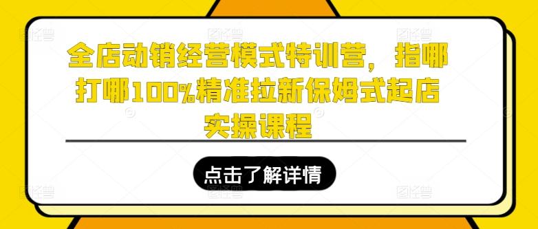 全店动销经营模式特训营，指哪打哪100%精准拉新保姆式起店实操课程_就是爱分享