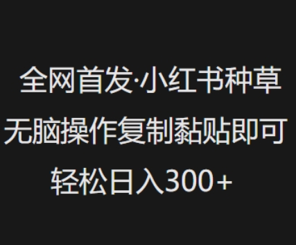 全网首发，小红书种草无脑操作，复制黏贴即可，轻松日入3张_就是爱分享