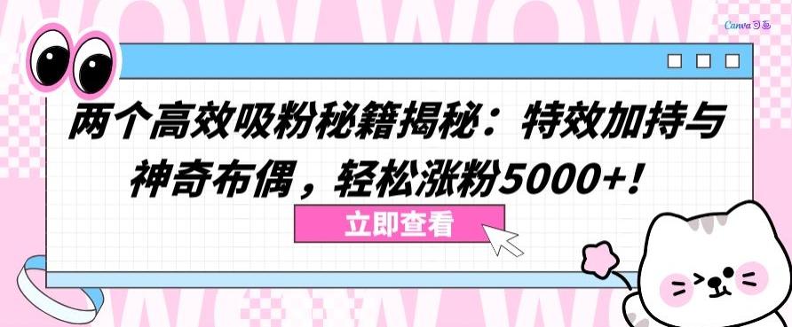 两个高效吸粉秘籍揭秘：特效加持与神奇布偶，轻松涨粉5000+【揭秘】_就是爱分享