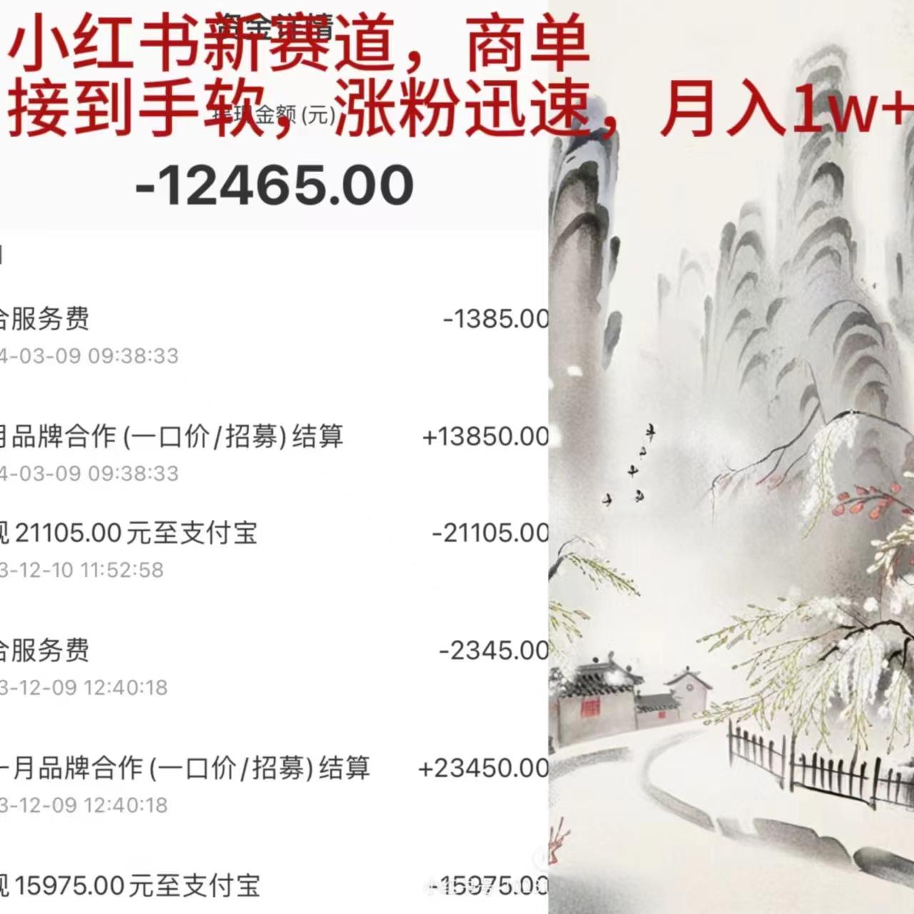 (9476期)小红书新赛道，商单接到手软，涨粉迅速，月入1w+_就是爱分享