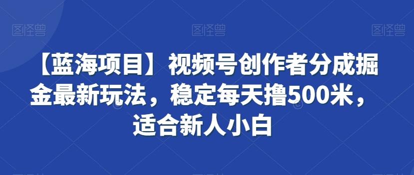 【蓝海项目】视频号创作者分成掘金最新玩法,稳定每天撸500米,适合新人小白【揭秘】_就是爱分享