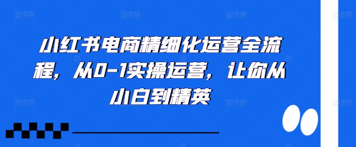 小红书电商精细化运营全流程，从0-1实操运营，让你从小白到精英_就是爱分享