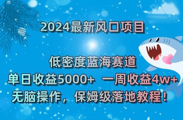 2024最新风口项目，低密度蓝海赛道，单日收益5000+，一周收益4w+！【揭秘】_就是爱分享