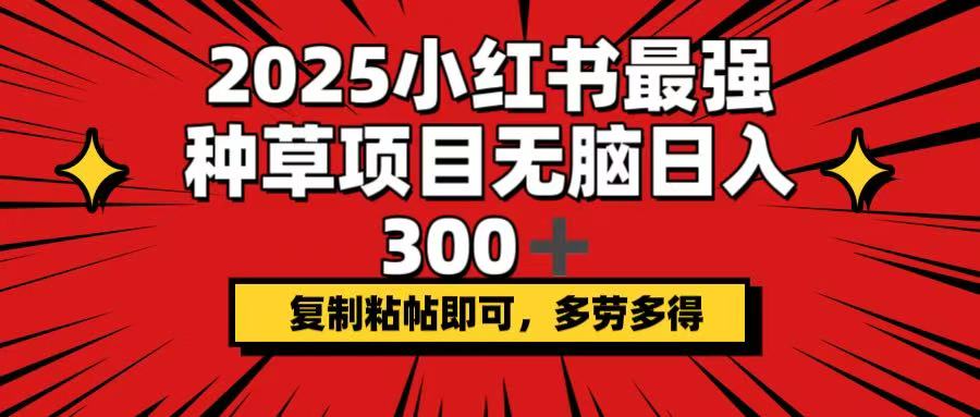 2025小红书最强种草项目，无脑日入300+，复制粘帖即可，多劳多得_就是爱分享