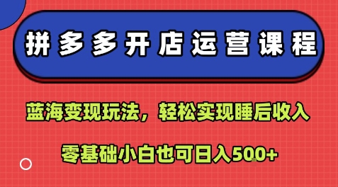 拼多多开店运营课程：蓝海变现玩法，轻松实现睡后收入，零基础小白也可日入5张_就是爱分享