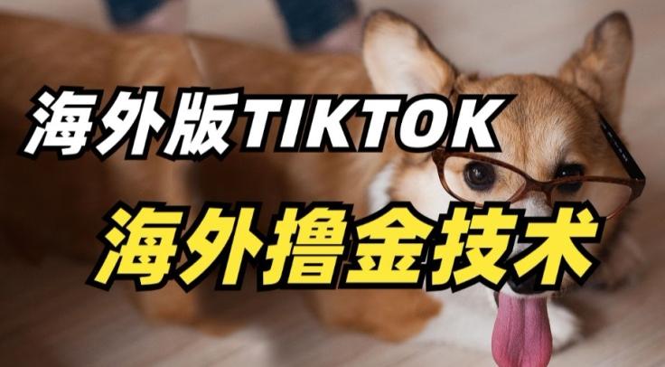 抖音海外版tiktok撸金技术，这个风口行业，赚钱真的不难【揭秘】_就是爱分享