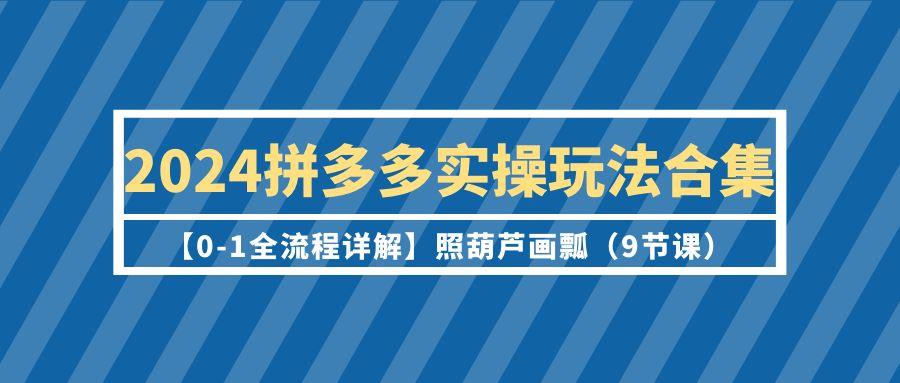 (9559期)2024拼多多实操玩法合集【0-1全流程详解】照葫芦画瓢(9节课)_就是爱分享