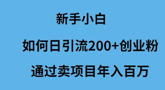 (9668期)新手小白如何日引流200+创业粉通过卖项目年入百万_就是爱分享