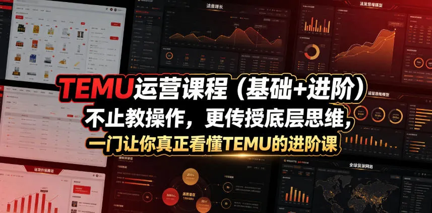 TEMU运营课程（基础+进阶），不止教操作，更传授底层思维，一门让你真正看懂TEMU的进阶课_一起云网创