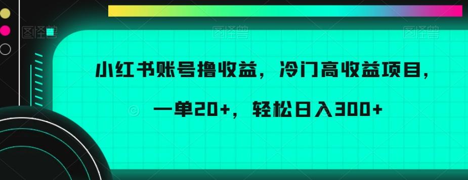 小红书账号撸收益，冷门高收益项目，一单20+，轻松日入300+【揭秘】_就是爱分享