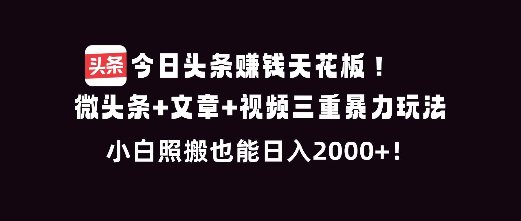 （16888期）今日头条赚钱天花板！微头条+文章+视频三重暴利玩法，小白照搬也能日人2000+_就是爱分享
