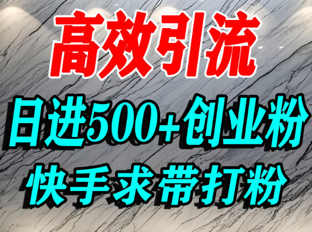 怎么打创业粉？快手求带视角精准引流创业粉，宝妈、学生群体日进500+精准流量_就是爱分享