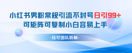 小红书男粉常规引流不封号日引99+变现简单 可矩阵可复制小白容易上手_就是爱分享