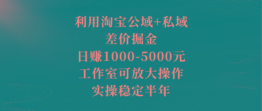 利用淘宝公域+私域差价掘金，日赚1000-5000元，工作室可放大操作，实操…_就是爱分享