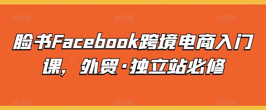 脸书Facebook跨境电商入门课，外贸·独立站必修_就是爱分享