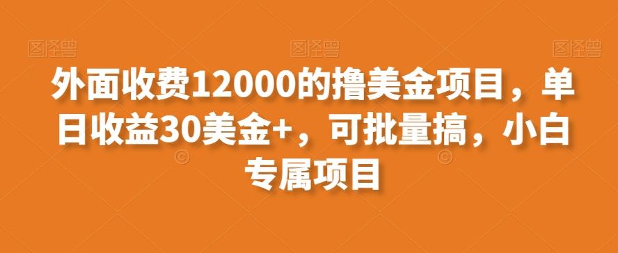 外面收费12000的撸美金项目，单日收益30美金+，可批量搞，小白专属项目_就是爱分享