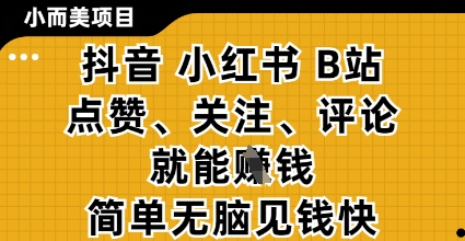 小而美的项目，抖音小红书B站视频点赞、关注、评论就能挣钱，简单无脑立见收益，妥妥的零撸项目【揭秘】_就是爱分享