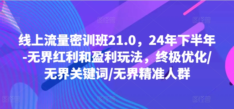 线上流量密训班21.0，24年下半年-无界红利和盈利玩法，终极优化/无界关键词/无界精准人群_就是爱分享