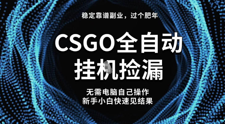 【稳定副业】全球最热门游戏CSGO全自动捡漏，最新玩法，新手小白日入5张+【揭秘】_就是爱分享