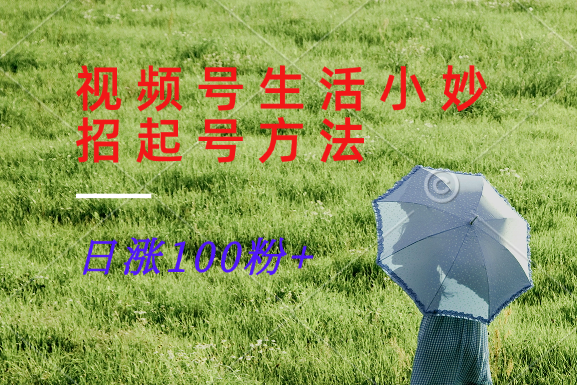 视频号生活小妙招分享赛道， 起号涨粉新方法，日涨100粉_就是爱分享