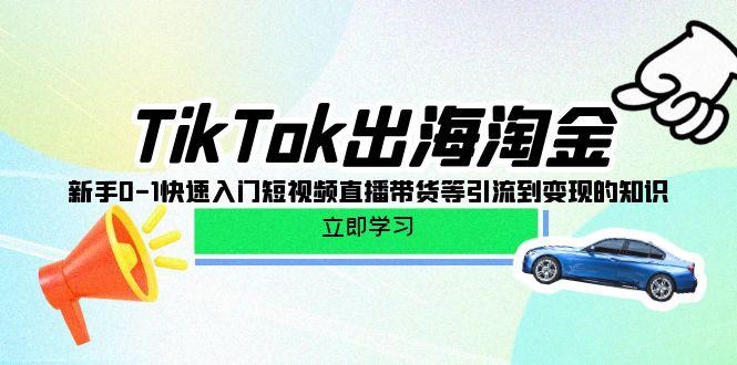 (10035期)TikTok-出海淘金，新手0-1快速入门短视频直播带货等引流到变现的知识_就是爱分享
