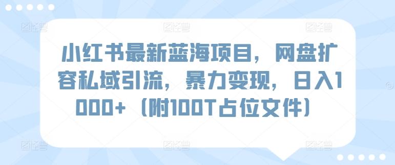 小红书最新蓝海项目，网盘扩容私域引流，暴力变现，日入1000+(附100T占位文件)【揭秘】_就是爱分享
